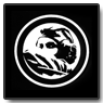 FV WS